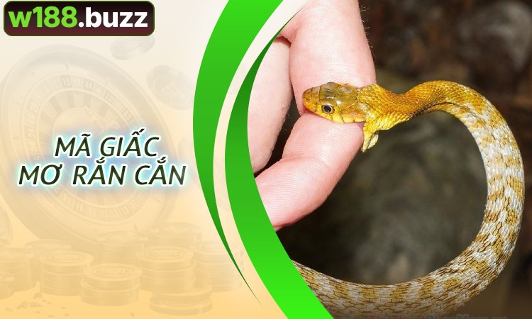 Giải Mã Giấc Mơ Rắn Cắn